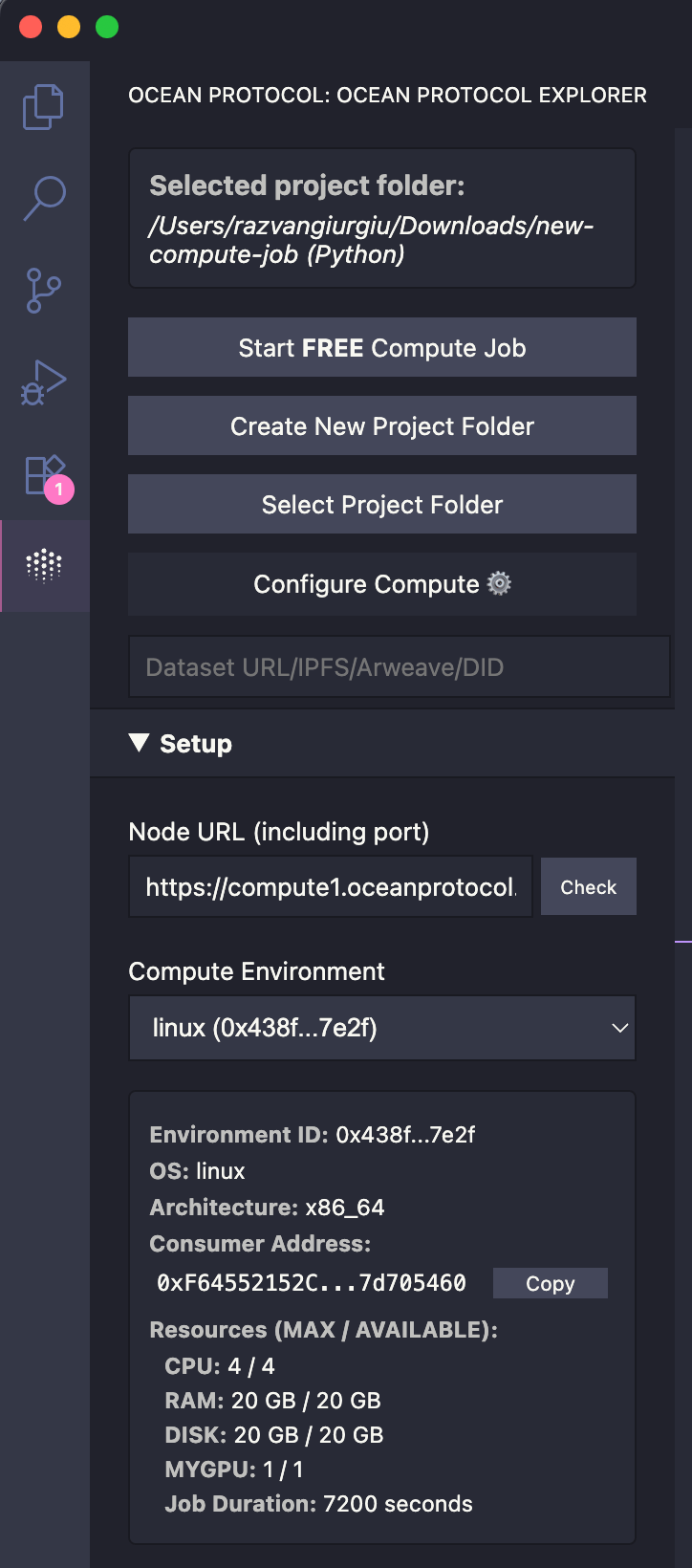 Ocean Protocol VSCode Extension Optional Setup