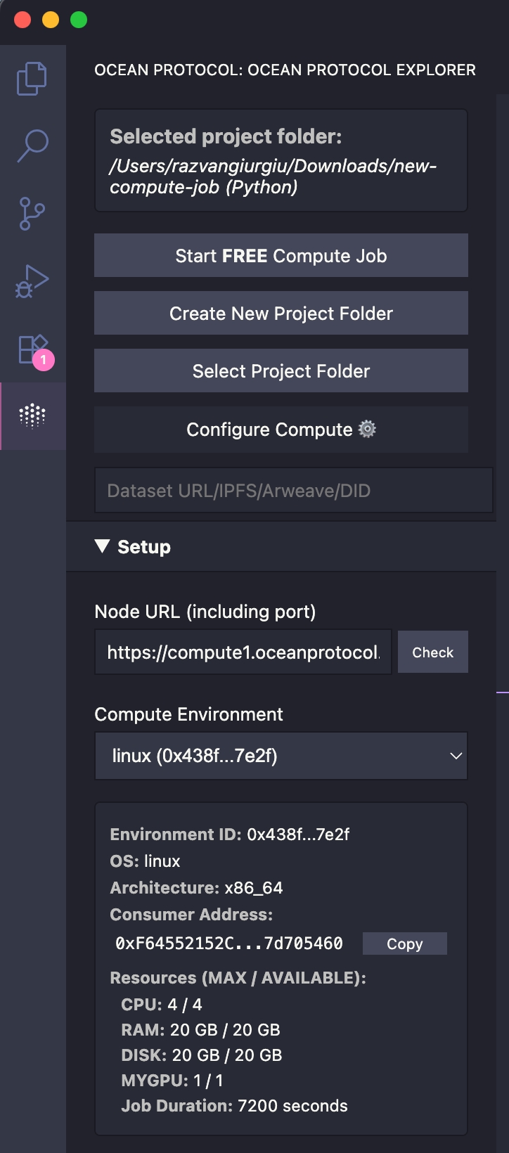 Ocean Protocol VSCode Extension Optional Setup